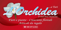 Sponsor